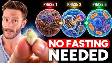 Fasting Alone Isn't Enough for Autophagy (Do This for Deeper Cell Repair)