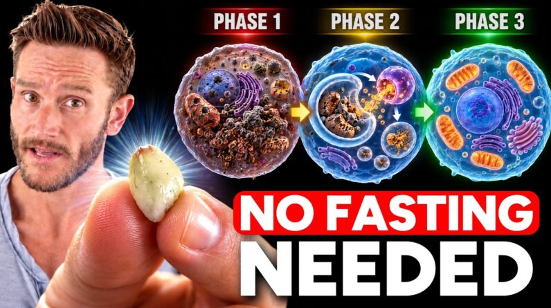 Fasting Alone Isn't Enough for Autophagy (Do This for Deeper Cell Repair)
